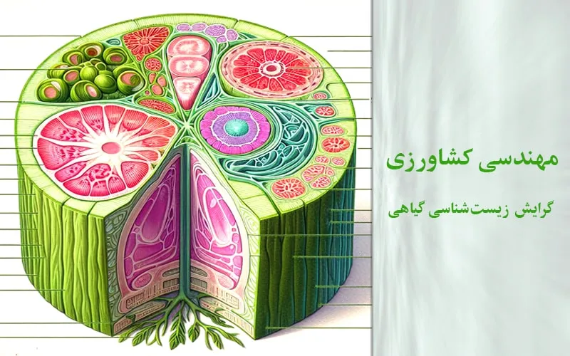 گرایش زیست‌شناسی گیاهی
