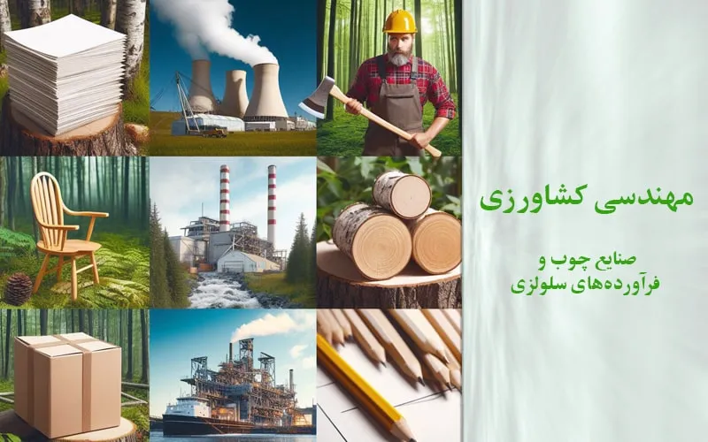 گرایش مهندسی صنایع چوب و فرآورده‌های سلولزی