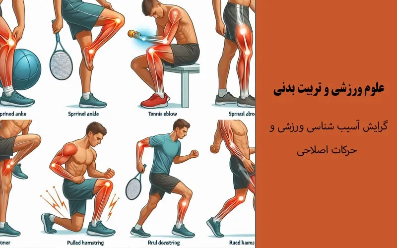 گرایش آسیب شناسی ورزشی و حرکات اصلاحی